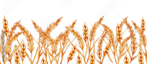 Watercolor ears of wheat horizontal border seamless pattern.