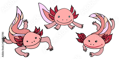 axolotl set of png images isolated clear background