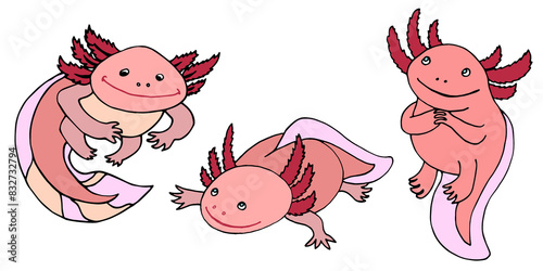 axolotl set of png images isolated clear background