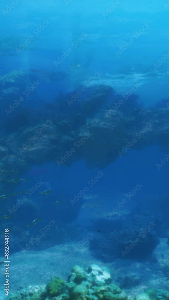 An enchanting underwater coral reef formation teeming with vibrant fish An enchanting underwater coral reef formation teeming with vibrant fish