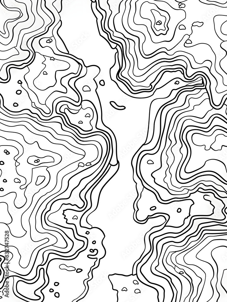 Fototapeta premium topographic map, contour illustration, thin lines, white color, high detail
