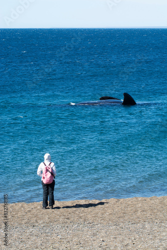 Tourists watching whales, observation from the coast, Doradillo Beach , Puerto Madryn, Chubut Province, Patagonia Argentina photo