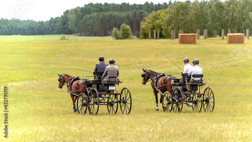 Canvas Print Four riders drive horse-drawn carriages across green field with trees and hay bales, highlighting an equestrian event