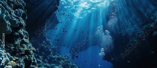 unlight shining into sea, underwater view. photo