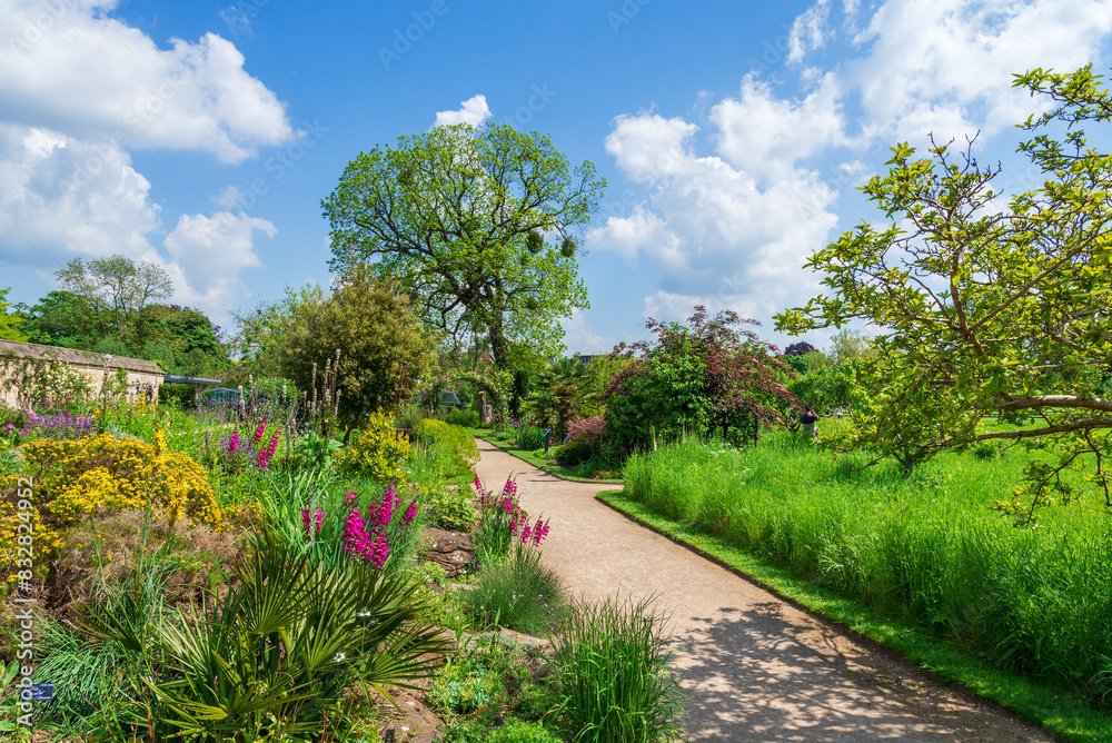 Landscape view of the most beautiful botanic garden in the spring season in Oxford city, UK