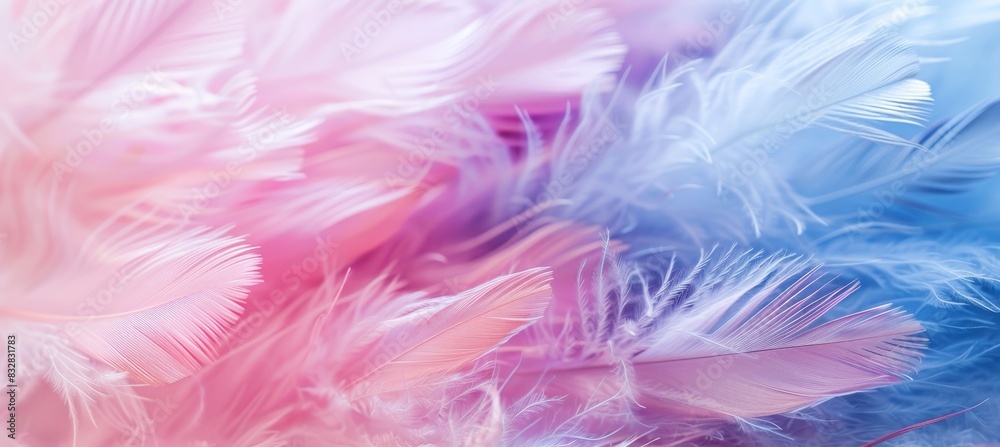 Detailed close up of vibrant pink and blue assorted feathers for a striking visual display