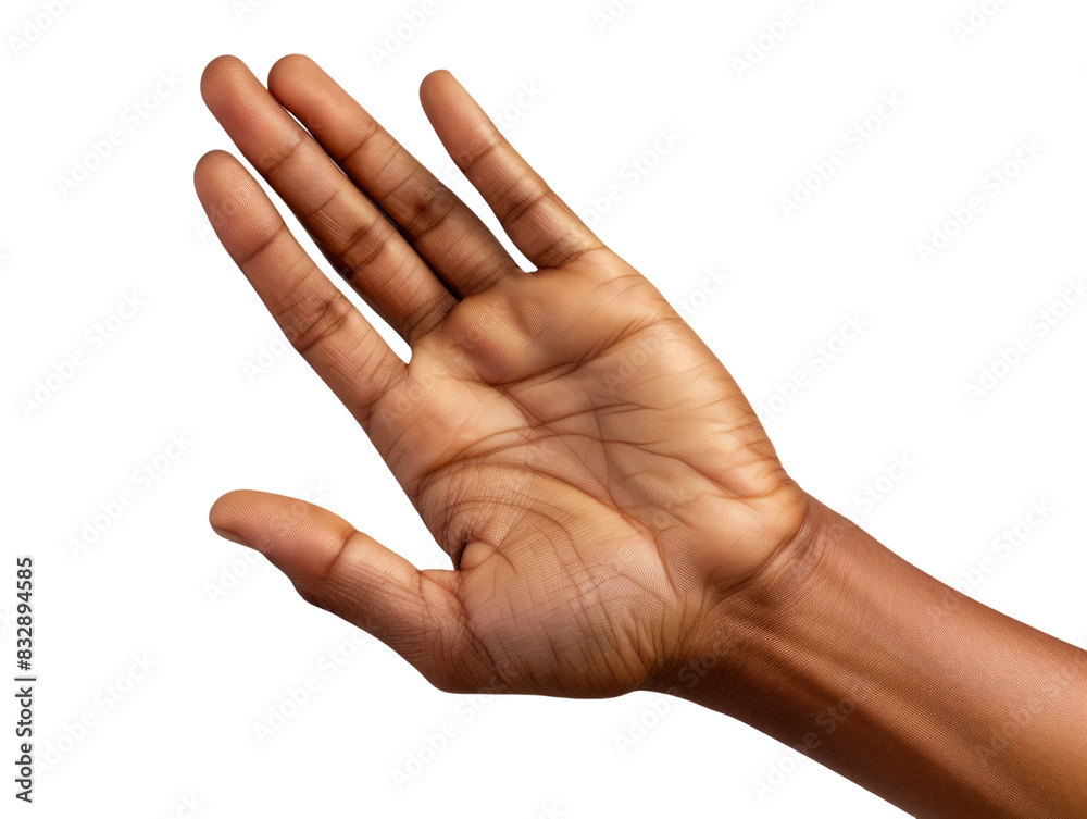 Sign Language Excuse Me Hand Gesture Stock Photo Adobe Stock