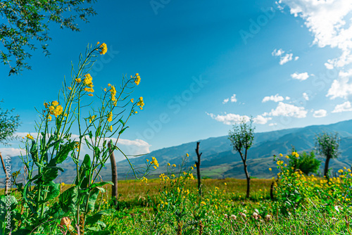 Mountain Landscape in Tafí del Valle, Tucuman Argentina