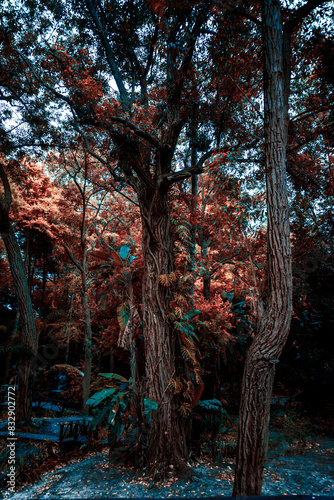 Nature Pathways in Santa Teresa Park , Uruguay
