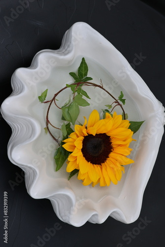 Beautiful photo of Sunflower without a stem floating in a beautiful bowl of water. photo