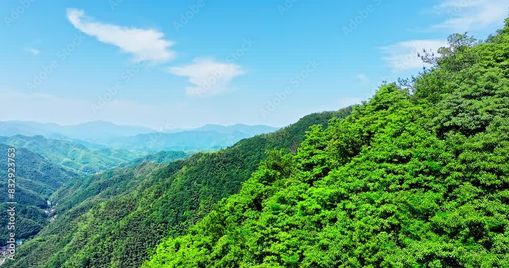 Aerial view of green forest and mountain nature landscape on a sunny day. mountain range landscape in summer.