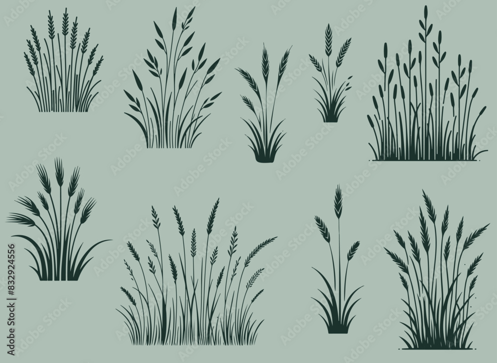 Fototapeta premium set collection grass weeds