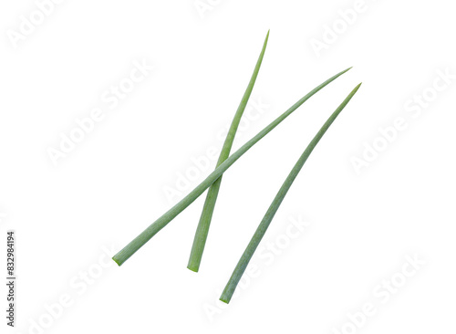 Cut fresh green onion. fresh green onion slices isolated on white background with clipping path