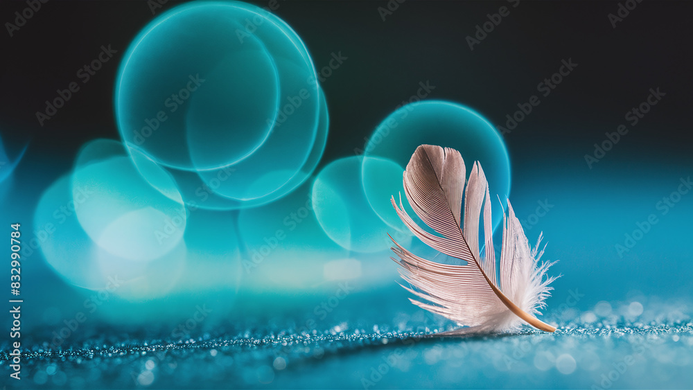 Fototapeta premium beautiful white feather on turquoise bokeh background, space for copy text