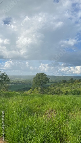 nature forest landscapes brazil colombia