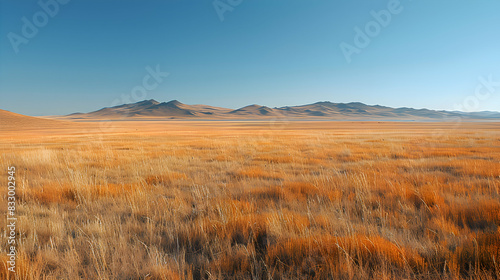 A vast nature steppe with rolling hills covered in golden grasses, the sky clear and blue above
