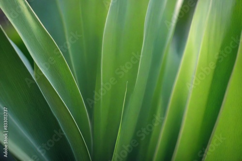 green leaf background