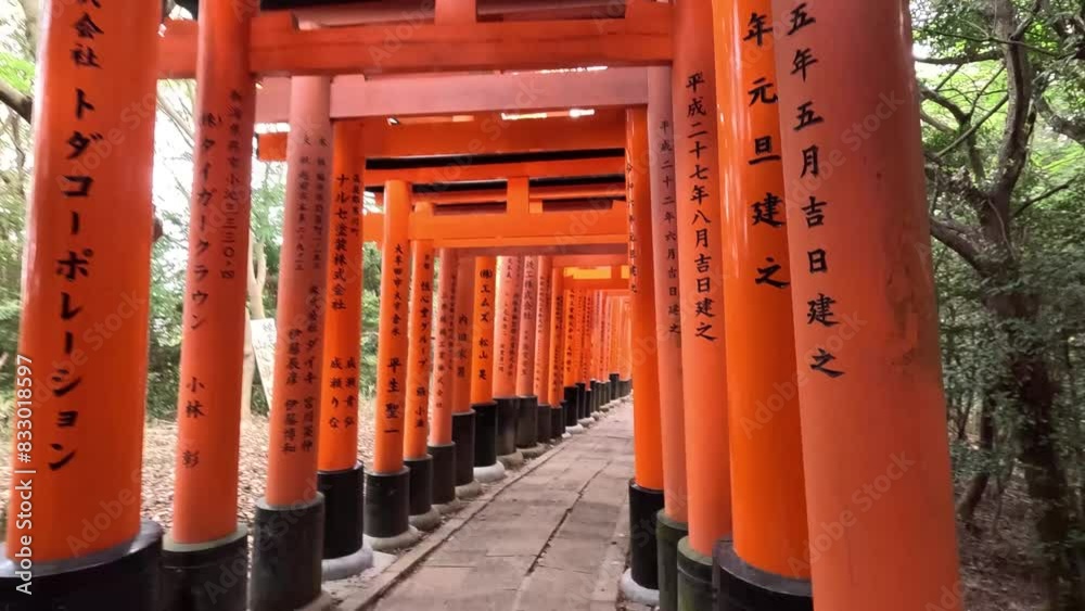 Walking On Thousand Tori Gates At Fushimi Inari-taisha Shrine In Kyoto, Japan. handheld shot Walking On Thousand Tori Gates At Fushimi Inari-taisha Shrine In Kyoto, Japan. handheld shot