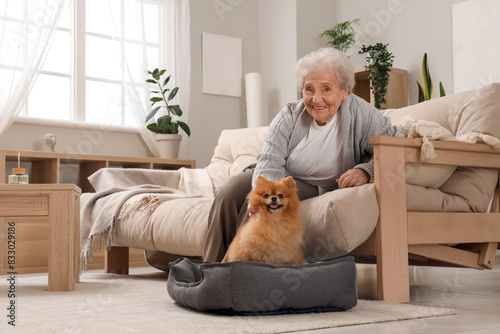 Senior woman with Pomerania...