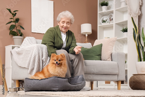 Senior woman with cute Pomeranian dog in pet bed at home
