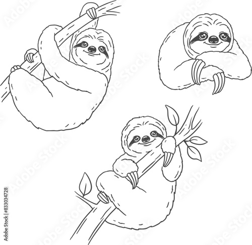 set of sloth vector, isolated outline drawing
