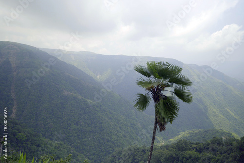 Photos Evergreen mountain beautiful nature background