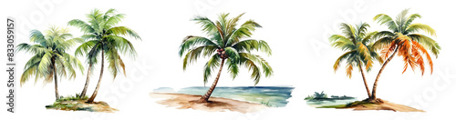 Watercolor summer png element set on transparent background