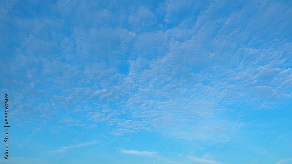 A serene blue sky filled with a patchwork of fluffy, scattered clouds. The soft, cotton-like clouds create a textured pattern, adding depth and tranquility to the bright sky. Horizon background. 
