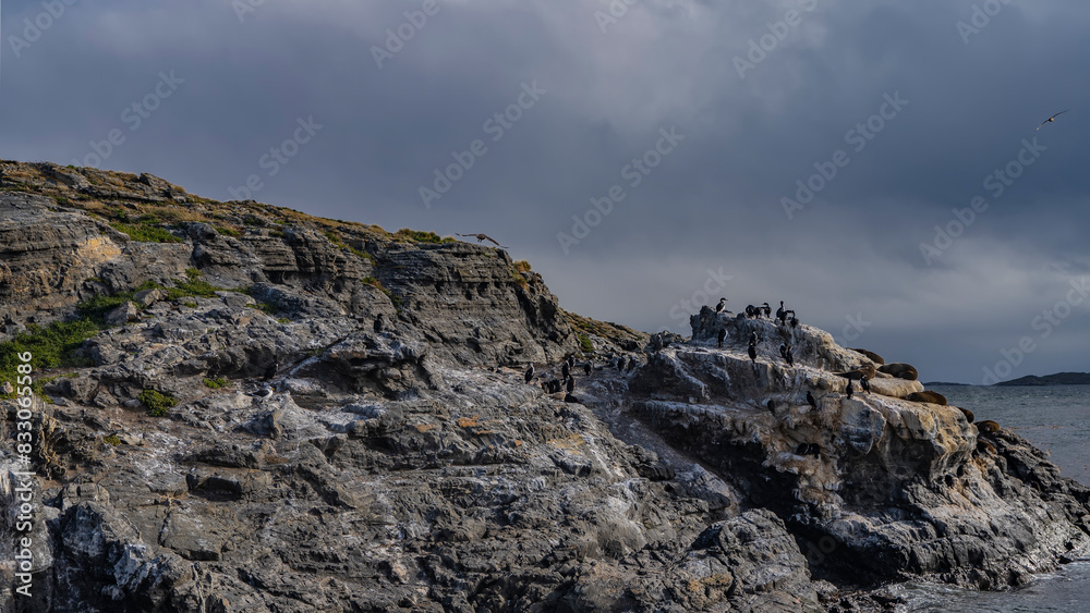 Cormorants are sitting on a rocky island in the Beagle Channel. Sea lions are resting on cliff ledges. Clouds in the sky. Isla de los lobos. Argentina. Tierra del Fuego Archipelago. Cormorants are sitting on a rocky island in the Beagle Channel. Sea lions are resting on cliff ledges. Clouds in the sky. Isla de los lobos. Argentina. Tierra del Fuego Archipelago.