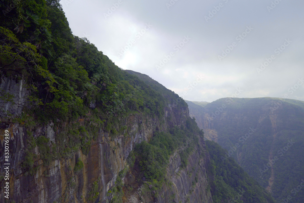 Evergreen mountain beautiful nature background Evergreen mountain beautiful nature background