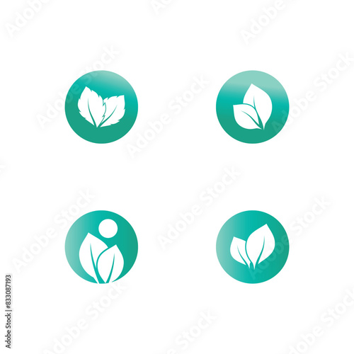 Mint leaf logo vector element template and symbol