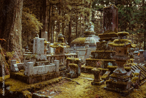 Mystical ambiance in an old Japanese cemetery, with aged shrines and mossy lanterns. photo