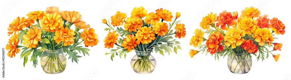 Marigold flower watercolor set Marigold flower watercolor set