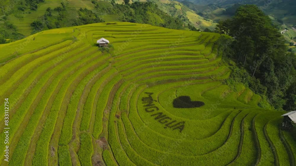 Aerial top view of fresh paddy rice terraces, green agricultural fields in countryside or rural area of Mu Cang Chai, mountain hills valley in Asia, Vietnam. Nature landscape background. Aerial top view of fresh paddy rice terraces, green agricultural fields in countryside or rural area of Mu Cang Chai, mountain hills valley in Asia, Vietnam. Nature landscape background.