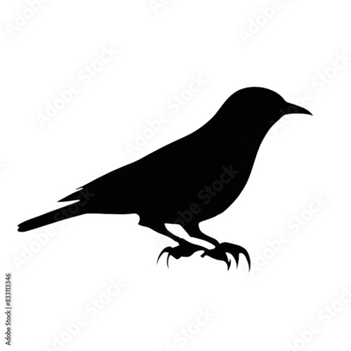 bird