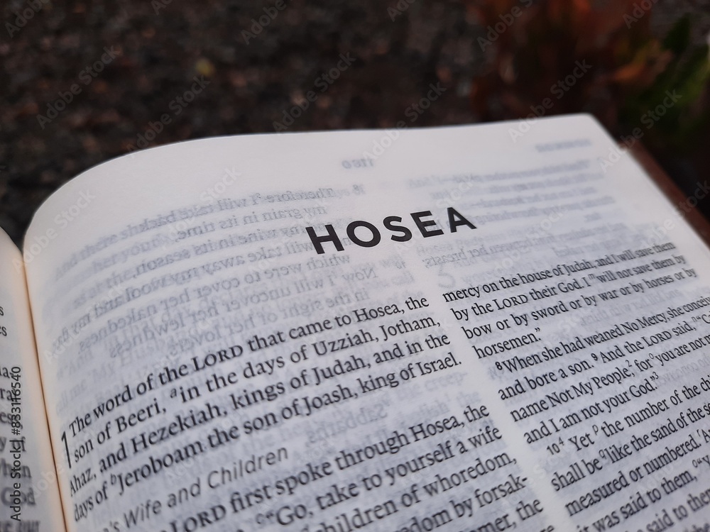 close up photo of a Bible page close up photo of a Bible page