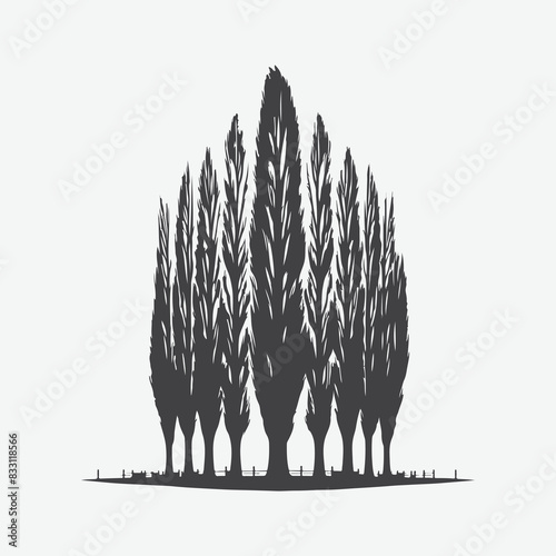 Print Majestic Poplar Tree Silhouette Against the Sky, A Timeless Natural Beauty