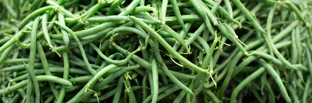 Panorama of fresh raw French beans on a Market stall Panorama of fresh raw French beans on a Market stall