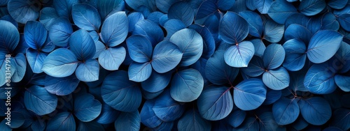 Macro shot many blue leaves spread together to form a beautiful pattern.