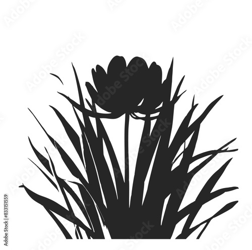 Elegant silhouette of a flower