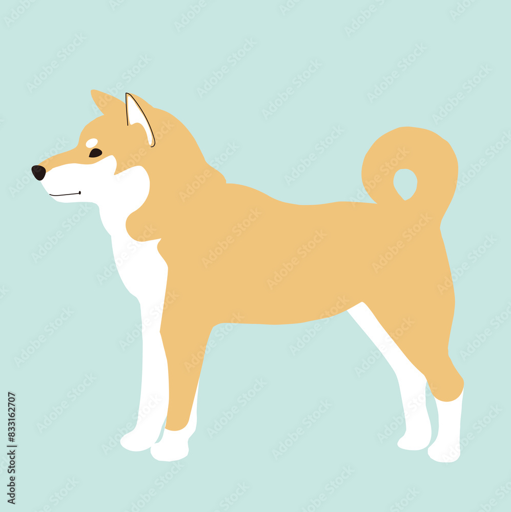 柴犬、日本の小型犬、横向き全身のベクターイラスト Stock Vector | Adobe Stock
