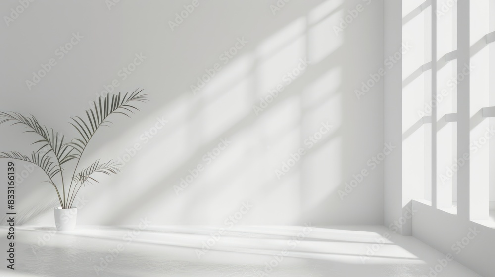Obraz premium Simple White Background