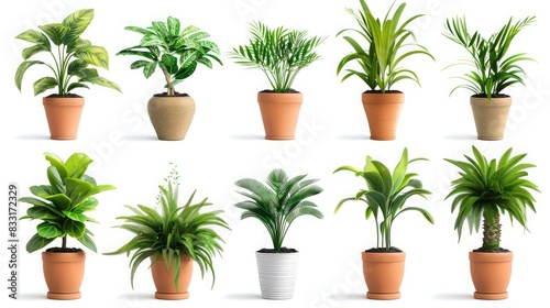 set of houseplant in pots isolated on white background ,Transform your space with interior greenery, showcasing an indoor plant collection that adds botanical beauty and unique plant forms 