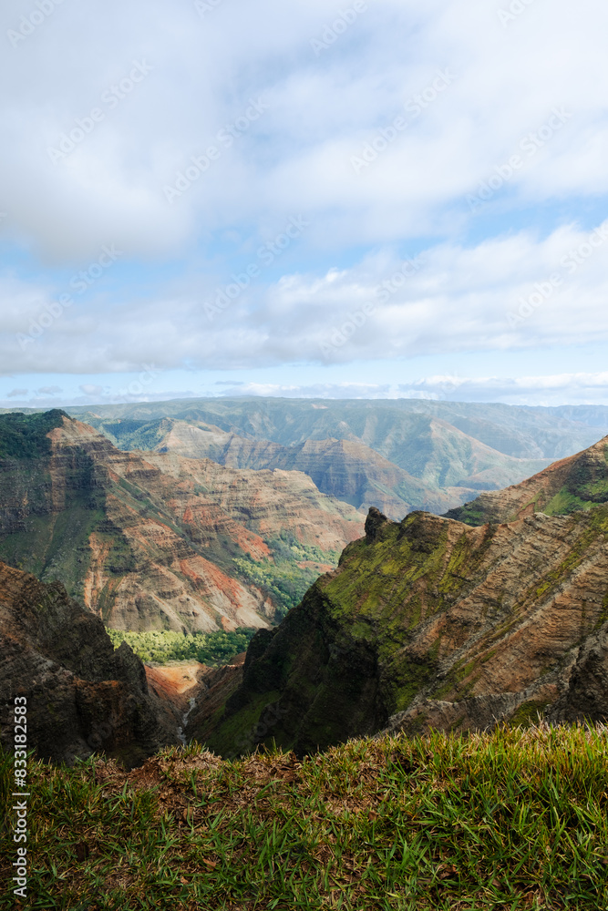 Vertical image overlooking a verdant canyon in Hawaii.