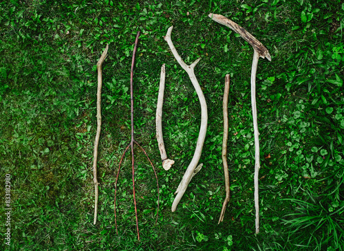 Assorted sticks arranged by a child during Nature Play photo