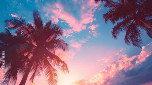 Wide-format tropical sunset with radiant palm silhouettes against a gradient sky of pink and blue hues  perfect for vacation themes. Holiday background. Empty  copy space for text.