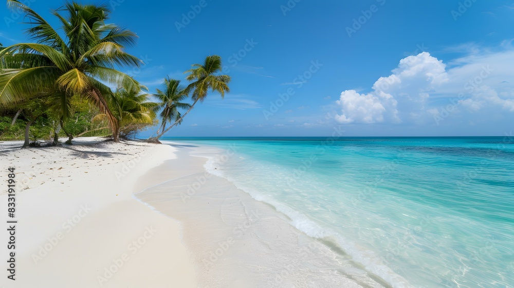 tropical beach white 