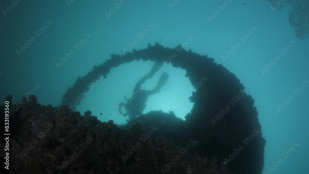 Silhouette of a scuba diver swimming above a newly created underwater artificial reef art installation. Wonder Reef Gold Coast