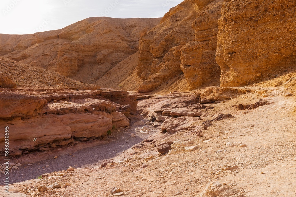 Journey through the Negev Desert