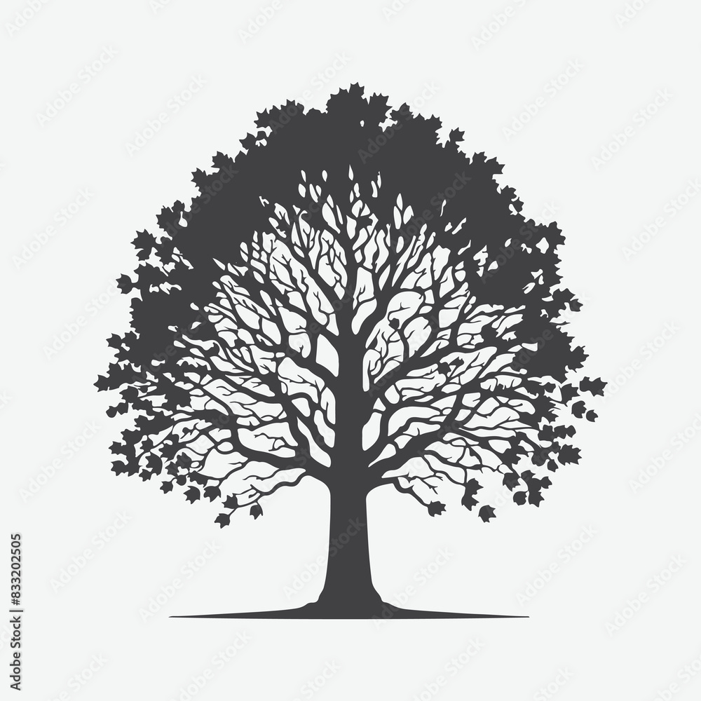 Obraz premium Print Majestic Sycamore Tree Silhouette, A Stunning Natural Masterpiece